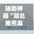 辅助神器“湖北雅苑麻将万能开挂器通用版”(详细透视教程)-知乎