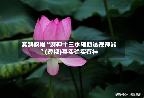 实测教程“财神十三水辅助透视神器”(透视)其实确实有挂-第2张图片
