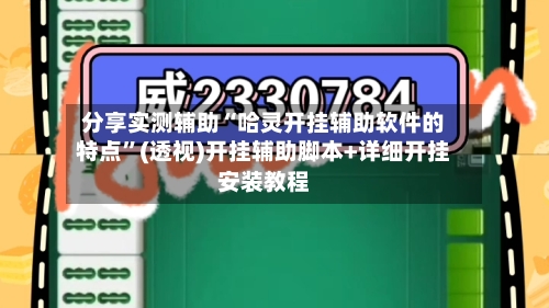 分享实测辅助“哈灵开挂辅助软件的特点”(透视)开挂辅助脚本+详细开挂安装教程