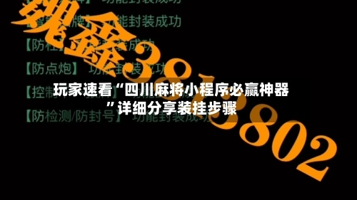 玩家速看“四川麻将小程序必赢神器	”详细分享装挂步骤-第2张图片