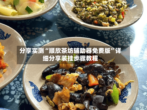 分享实测“顺欣茶坊辅助器免费版”详细分享装挂步骤教程-第3张图片