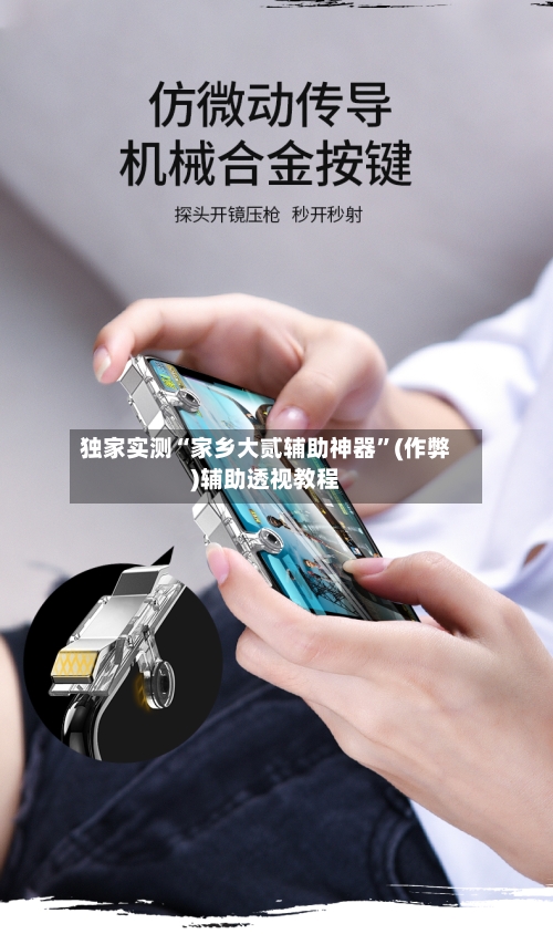 独家实测“家乡大贰辅助神器”(作弊)辅助透视教程