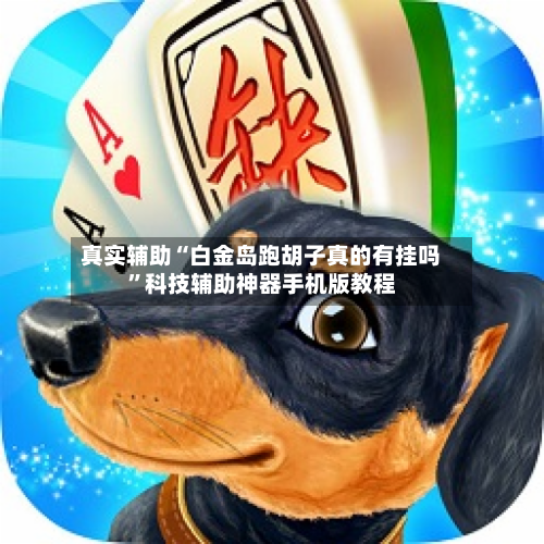 真实辅助“白金岛跑胡子真的有挂吗”科技辅助神器手机版教程