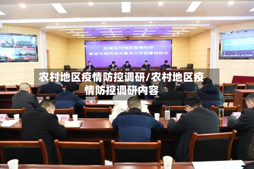 农村地区疫情防控调研/农村地区疫情防控调研内容