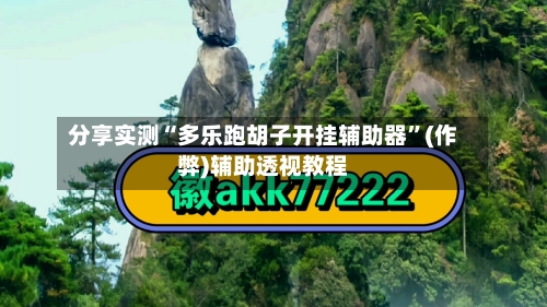 分享实测“多乐跑胡子开挂辅助器	”(作弊)辅助透视教程-第2张图片
