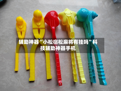 辅助神器“小松宿松麻将有挂吗”科技辅助神器手机-第2张图片