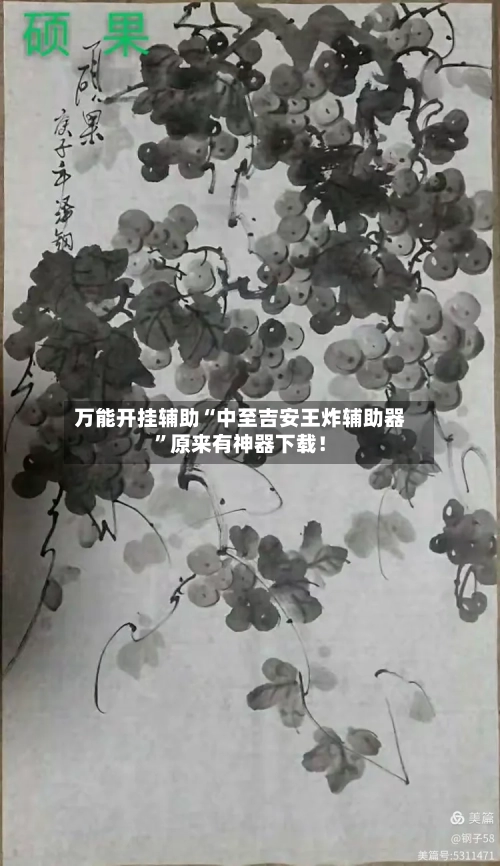 万能开挂辅助“中至吉安王炸辅助器”原来有神器下载！
