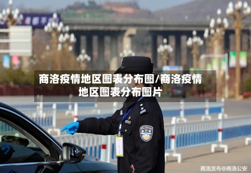 商洛疫情地区图表分布图/商洛疫情地区图表分布图片-第2张图片