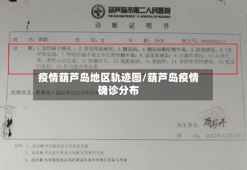 疫情葫芦岛地区轨迹图/葫芦岛疫情确诊分布-第2张图片