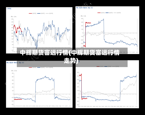 中辉期货富远行情(中辉期货富远行情走势)
