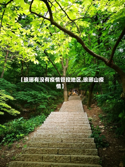 【琅琊有没有疫情管控地区,琅琊山疫情】-第3张图片