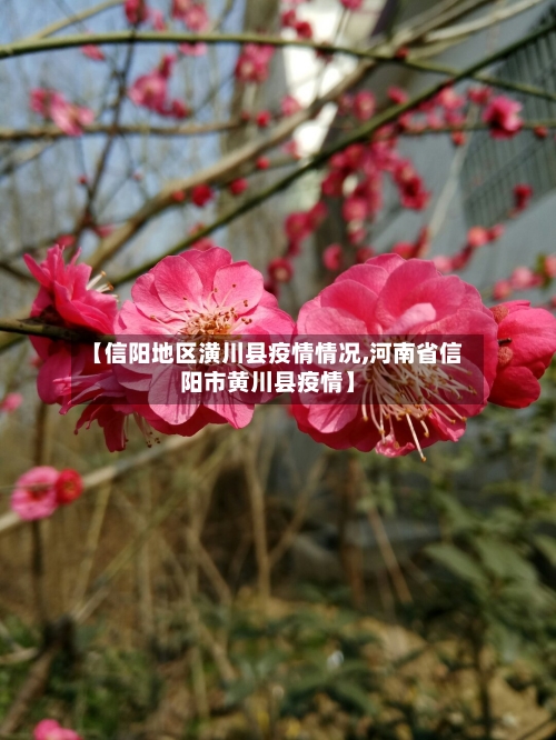 【信阳地区潢川县疫情情况,河南省信阳市黄川县疫情】