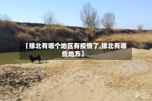 【豫北有哪个地区有疫情了,豫北有哪些地方】