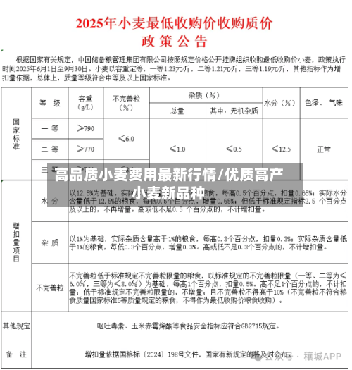 高品质小麦费用最新行情/优质高产小麦新品种