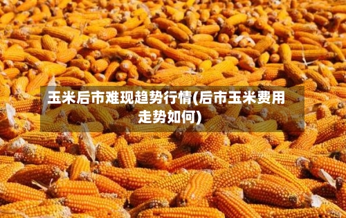 玉米后市难现趋势行情(后市玉米费用走势如何)-第3张图片
