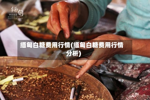 缅甸白糖费用行情(缅甸白糖费用行情分析)