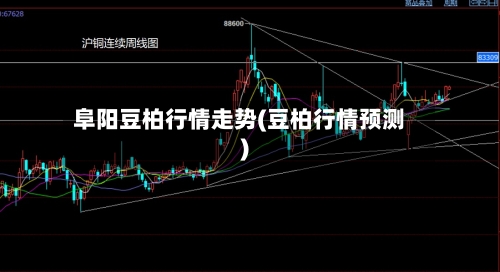 阜阳豆柏行情走势(豆柏行情预测)