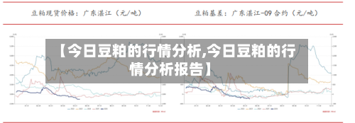 【今日豆粕的行情分析,今日豆粕的行情分析报告】-第2张图片