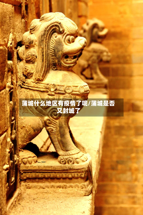 蒲城什么地区有疫情了呢/蒲城是否又封城了