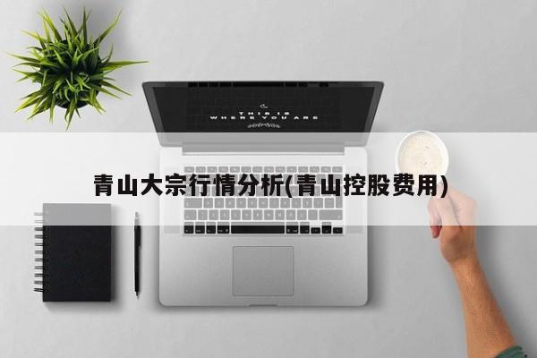 青山大宗行情分析(青山控股费用)