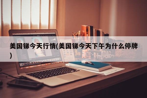 美国锑今天行情(美国锑今天下午为什么停牌)