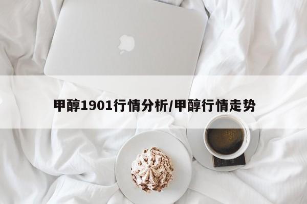 甲醇1901行情分析/甲醇行情走势