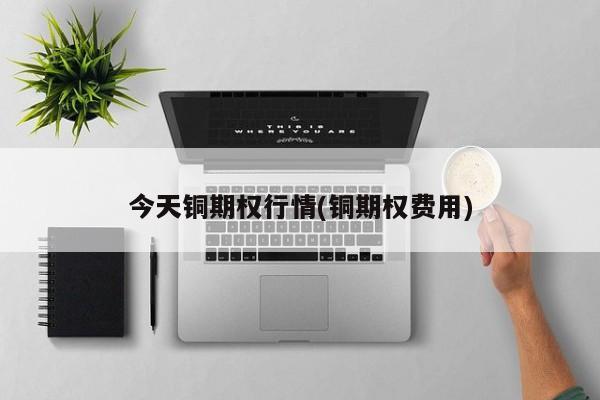 今天铜期权行情(铜期权费用)