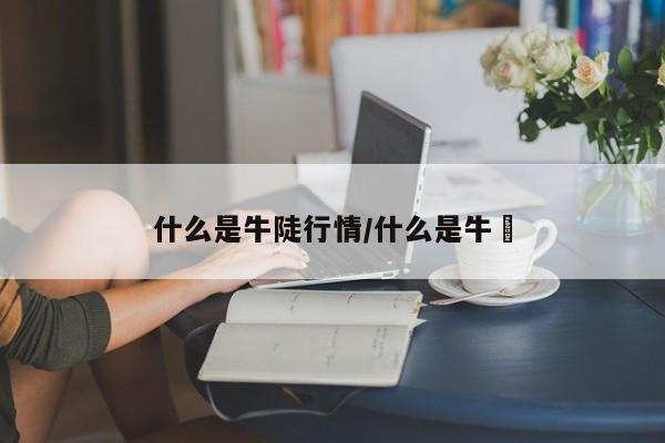 什么是牛陡行情/什么是牛丼