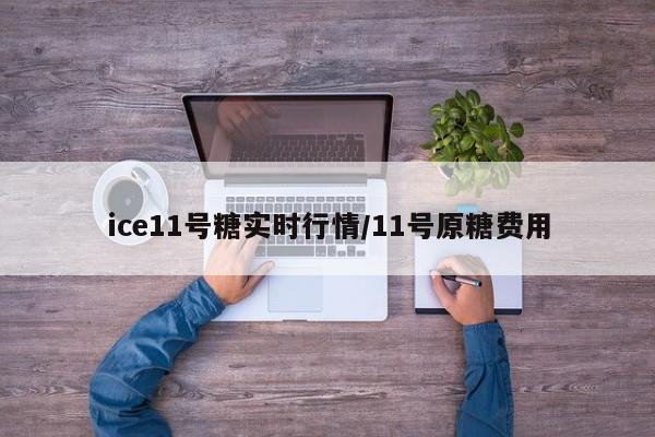 ice11号糖实时行情/11号原糖费用
