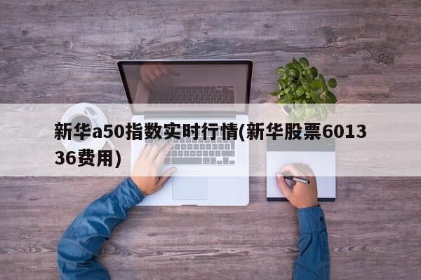 新华a50指数实时行情(新华股票601336费用)