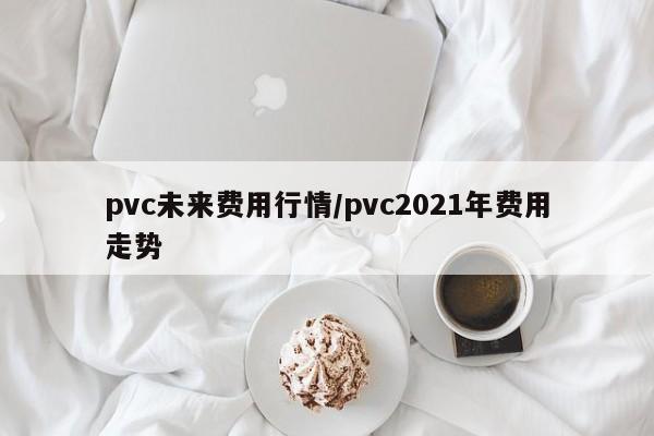 pvc未来费用行情/pvc2021年费用走势