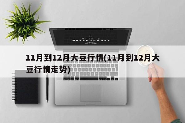 11月到12月大豆行情(11月到12月大豆行情走势)