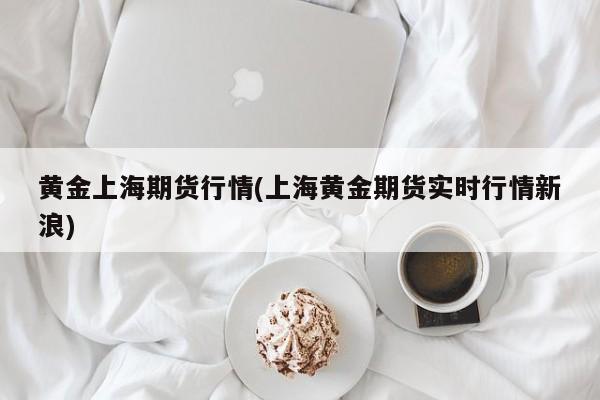 黄金上海期货行情(上海黄金期货实时行情新浪)