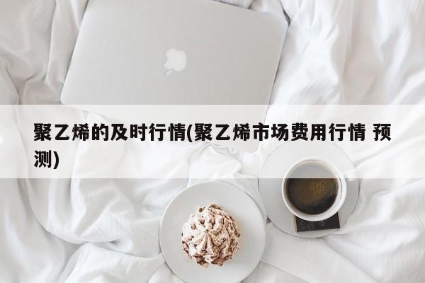 聚乙烯的及时行情(聚乙烯市场费用行情 预测)