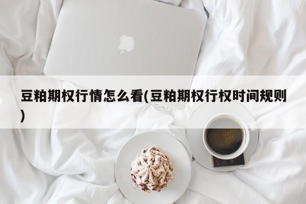 豆粕期权行情怎么看(豆粕期权行权时间规则)
